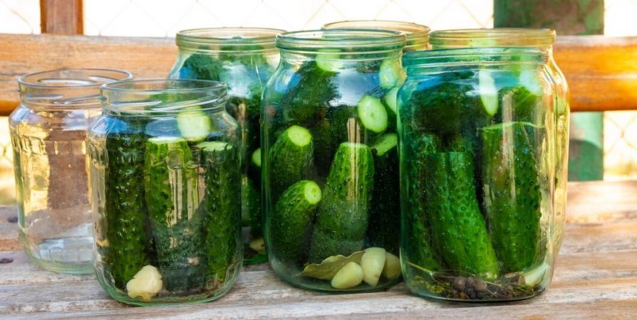 Вкус детства: как приготовить хрустящие солёные огурцы по семейному рецепту Вкус детства: как приготовить хрустящие солёные огурцы по семейному рецепту