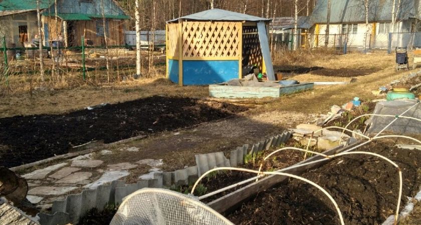 Дачный сезон: новые правила и штрафы, о которых важно знать Дачный сезон: новые правила и штрафы, о которых важно знать