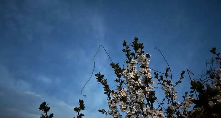 Лето-2025: готовьтесь к погодным сюрпризам Лето-2025: готовьтесь к погодным сюрпризам