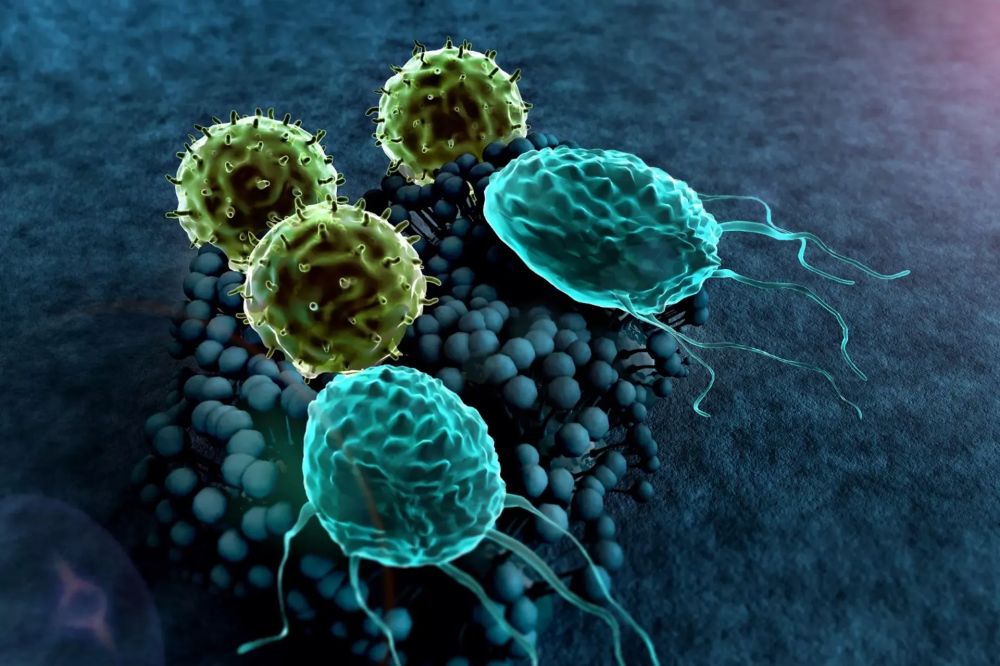 Смертельный грибок Coccidioides атакует США: истории людей под угрозой Смертельный грибок Coccidioides атакует США: истории людей под угрозой