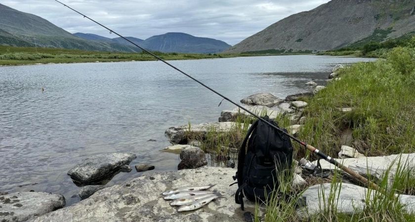 Карась на крючке: бюджетный рецепт эффективной прикормки Карась на крючке: бюджетный рецепт эффективной прикормки