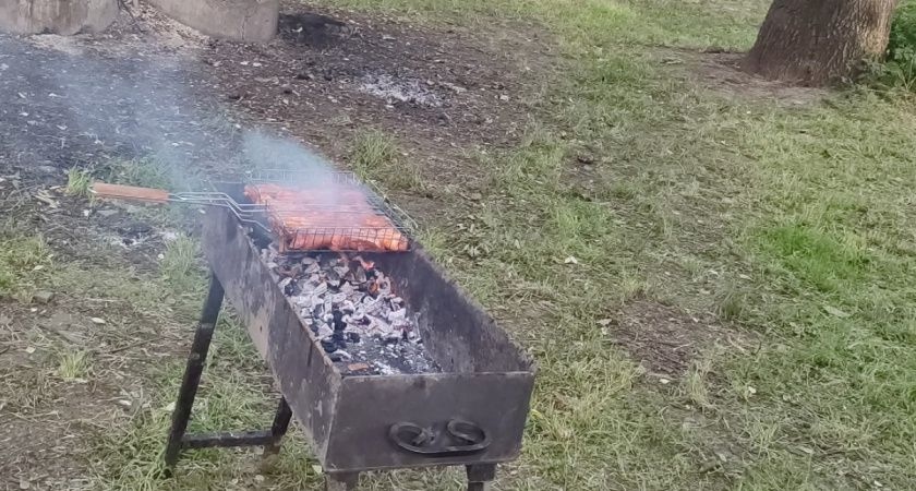 Новые правила для любителей природы: что изменится для отдыхающих у воды и в лесах Новые правила для любителей природы: что изменится для отдыхающих у воды и в лесах