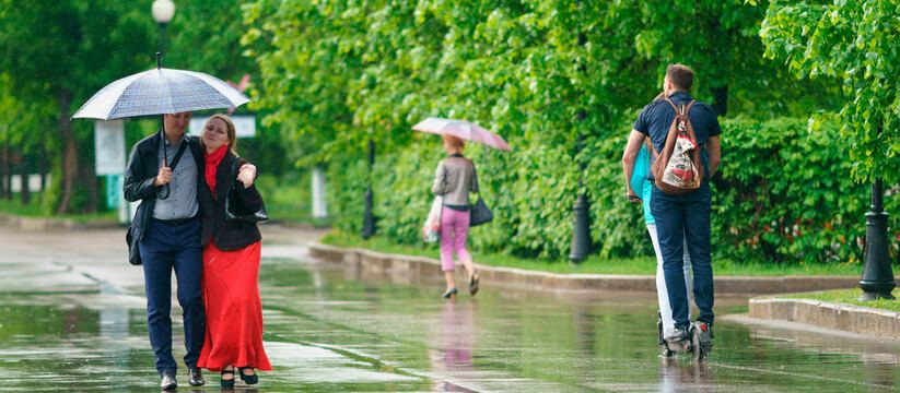 Аномальные заморозки в мае: как подготовиться и минимизировать ущерб Аномальные заморозки в мае: как подготовиться и минимизировать ущерб