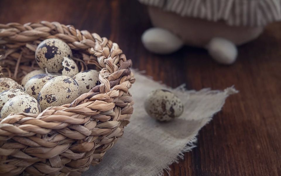 Перепелиные яйца: маленькие, но с большим вкусом Перепелиные яйца: маленькие, но с большим вкусом