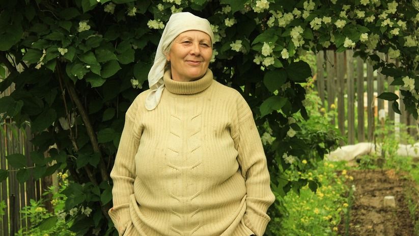 Европейский лайфхак для оценки здоровья почвы: как тряпка может рассказать о состоянии вашего огорода Европейский лайфхак для оценки здоровья почвы: как тряпка может рассказать о состоянии вашего огорода