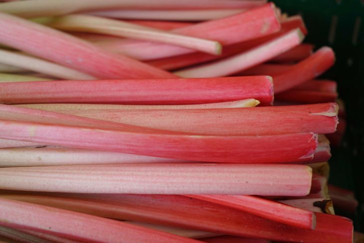 Кулинарные секреты: как приготовить вкусные блюда с ревенем Кулинарные секреты: как приготовить вкусные блюда с ревенем
