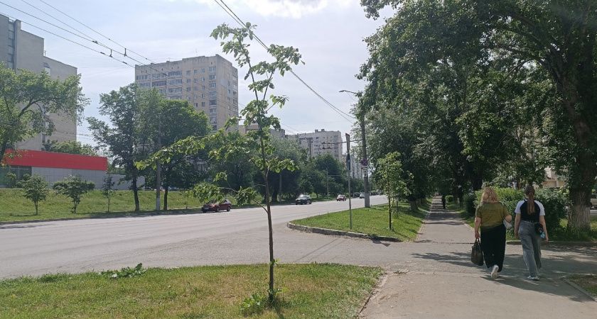 Три знака Зодиака, которые могут разбогатеть этим летом