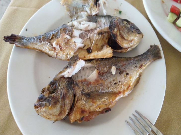 Нежный и вкусный заменитель морского окуня: откройте для себя пангасиуса и тилапию Нежный и вкусный заменитель морского окуня: откройте для себя пангасиуса и тилапию