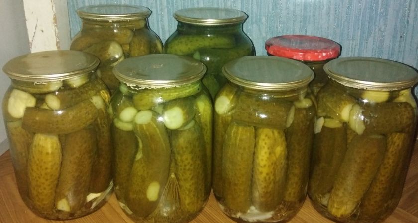 Как не испортить огурцы при мариновании: секреты хрустящих солений