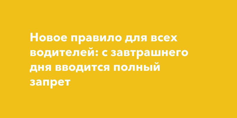 Конституционный суд защитил права водителей: что изменится с 1 июня 2025 года