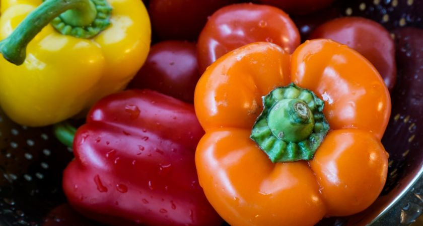 Дрожжевая подкормка для перцев: как оживить растения и получить богатый урожай