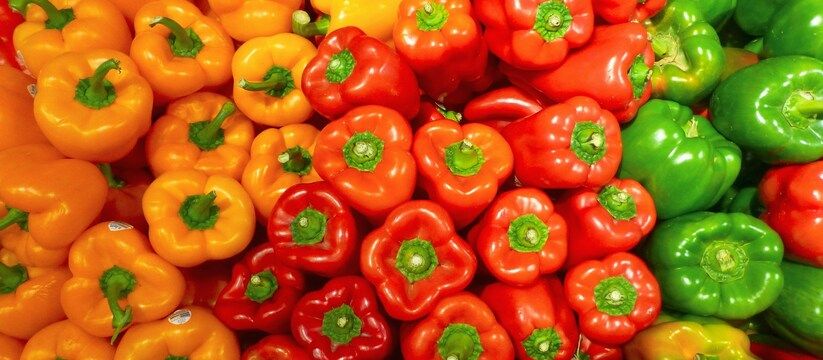 Секреты июньской подкормки перца для рекордного урожая