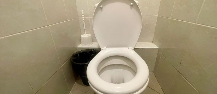 Как вернуть унитазу первозданный вид: простой и эффективный раствор