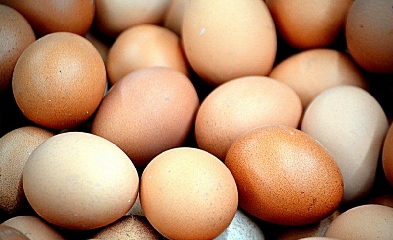 Яйца по 50 рублей: почему цены на популярный продукт рухнули