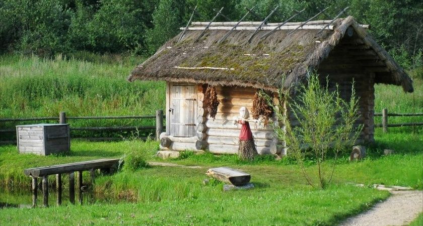 Дачникам на заметку: штрафы за незаконную вырубку деревьев могут быть очень серьезными