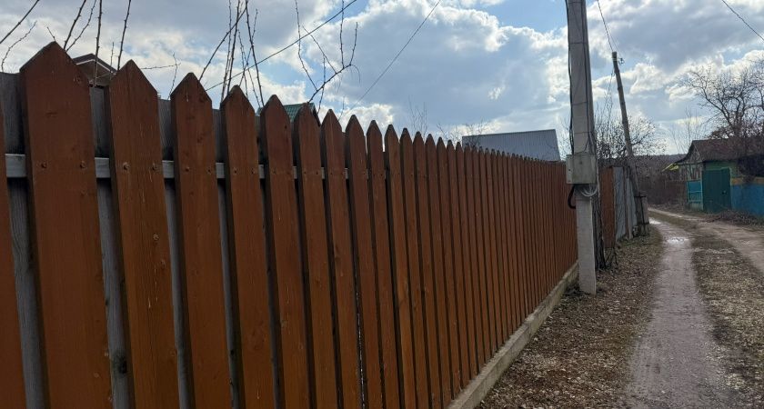 Три метра от забора: как не испортить отношения с соседями на даче