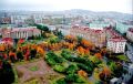 Скоро в небе: катарский дворец для Трампа в качестве подарка