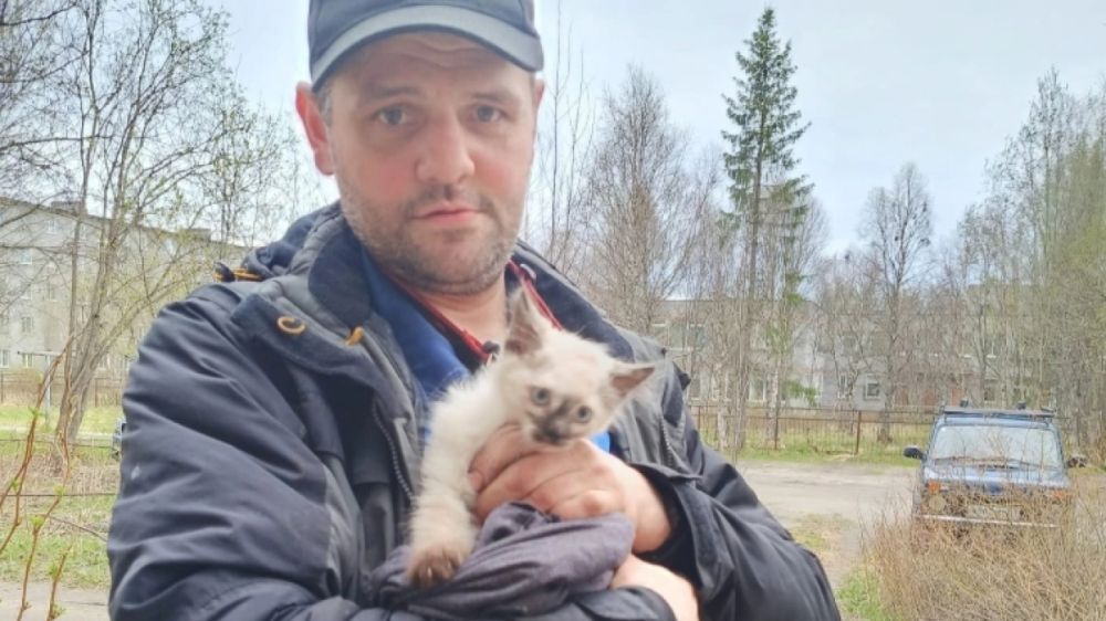 Сантехник с золотым сердцем спас котенка из батареи в Ковдоре