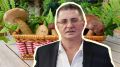 Грибы: кто может есть их без риска для здоровья?