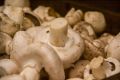 Вкусные фаршированные шампиньоны: простой и бюджетный рецепт