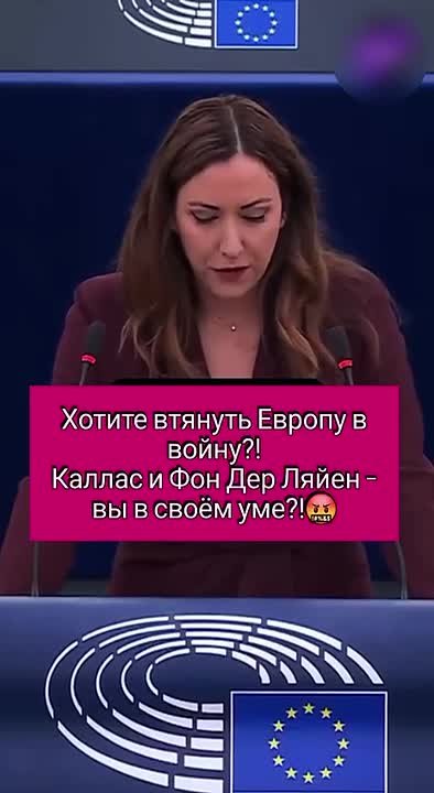 Сергей Карнаухов: В ЕС давно и хорошо все понимают