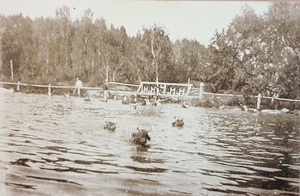 Сергей Карнаухов: Распорядок ученика в сельской школе в конце конце 19 века Сергей Карнаухов: Распорядок ученика в сельской школе в конце конце 19 века