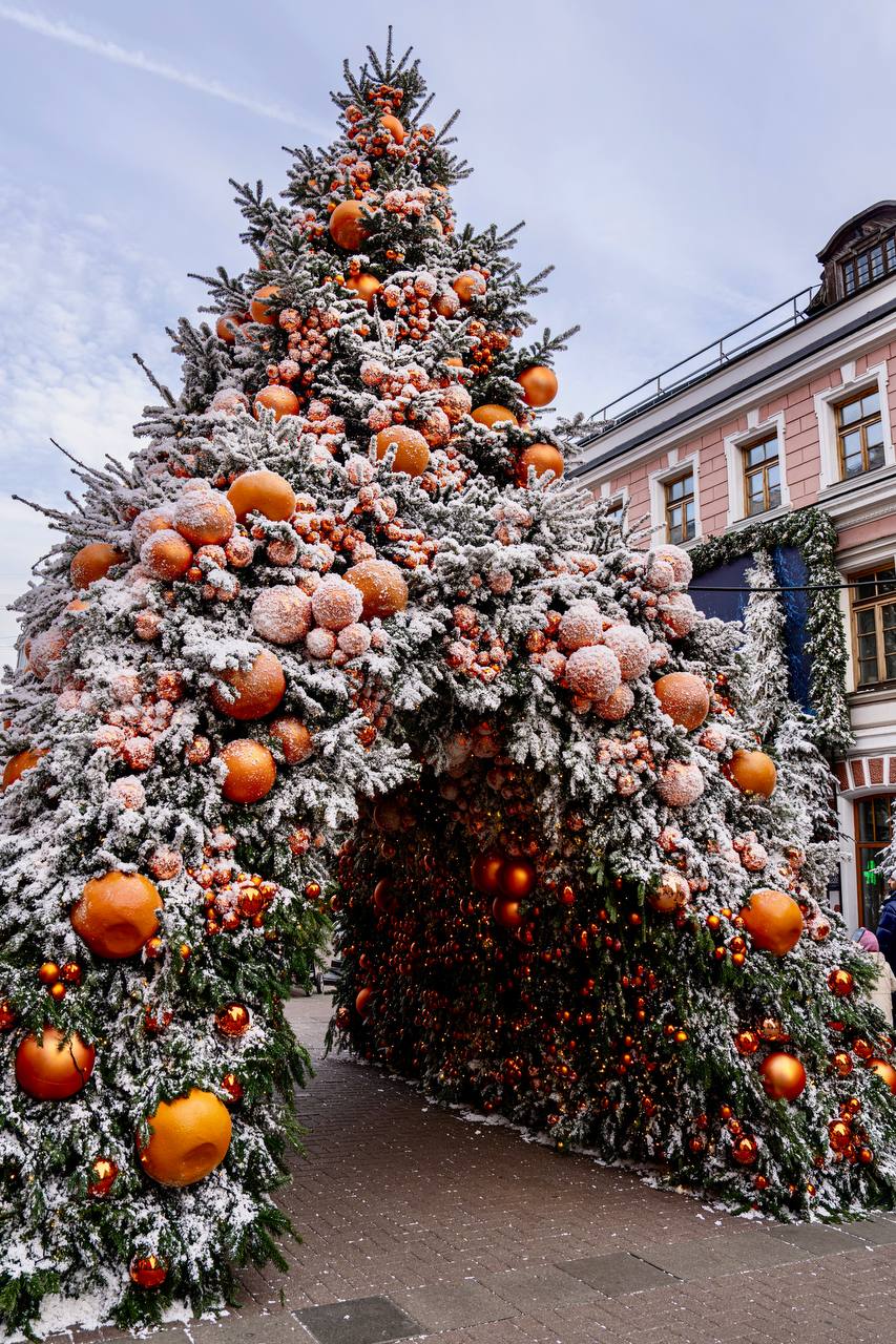Мандарины на Арбате. Источник Мандарины на Арбате. Источник