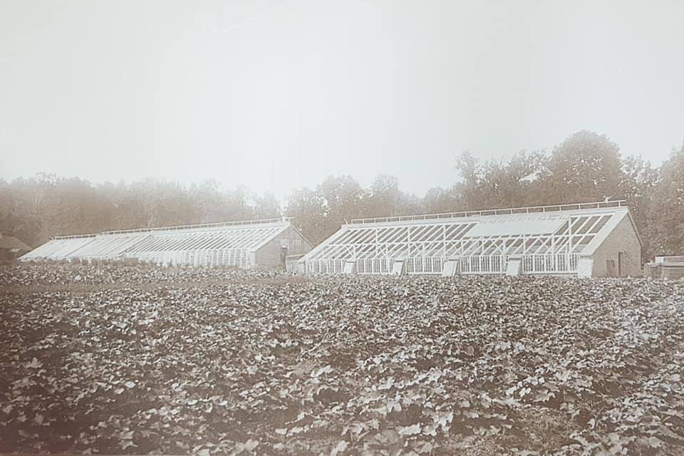 Сергей Карнаухов: Распорядок ученика в сельской школе в конце конце 19 века Сергей Карнаухов: Распорядок ученика в сельской школе в конце конце 19 века