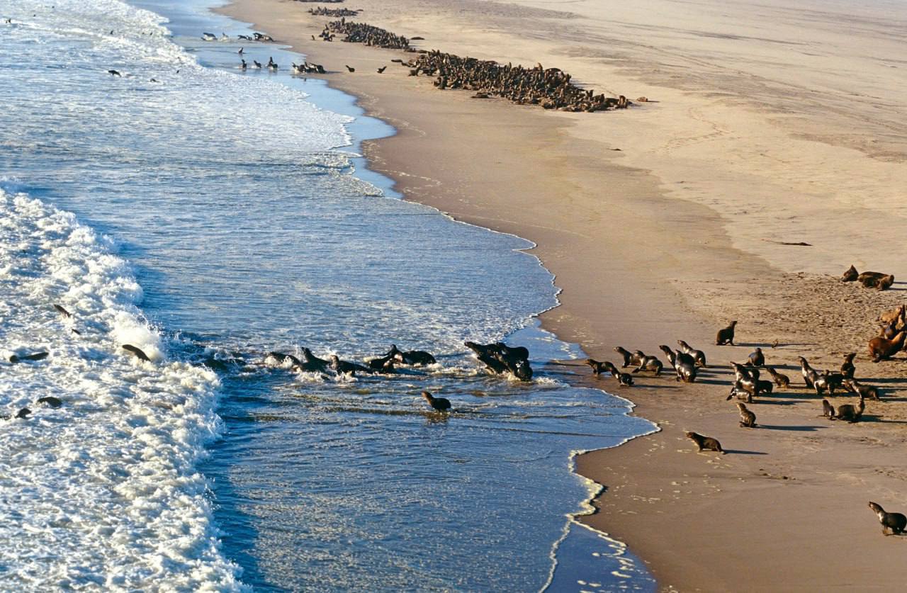 Намибия признана самым «аутентичным» туристическим направлением Африки Намибия признана самым «аутентичным» туристическим направлением Африки