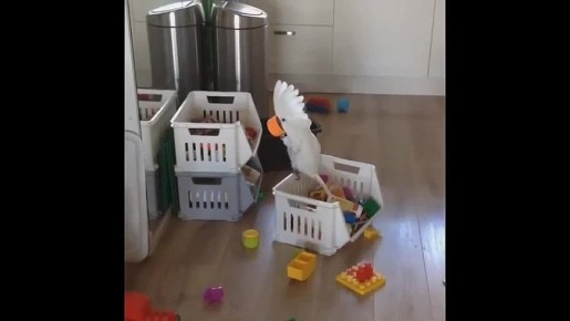 ���� ��������: ������� ����� �������� ������ � �90 ����, ���� �� ����� ����������� ���������, � ���������