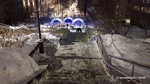 ���� �������: ���� ����������� ��������� ����� � ������� ���������� �������� ������� �� ������������ ����������� ������-�����